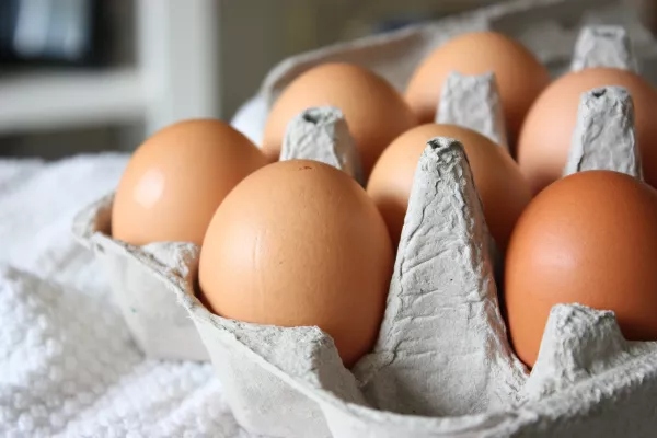 Костромская птицефабрика увеличит производство куриных яиц до 80 млн штук