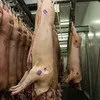 живок и полутуши свиные 1-2 категория в Оренбурге и Оренбургской области 4