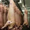 живок и полутуши свиные 1-2 категория в Оренбурге и Оренбургской области